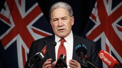 Winston Peters has doubled down on comments he made likening statements from Te Pāti Māori to Nazi Germany. Photo / Mark Mitchell