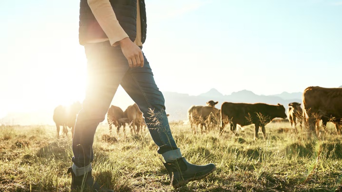 This year’s Primary Industry New Zealand Award finalists have been announced. Photo / 123RF