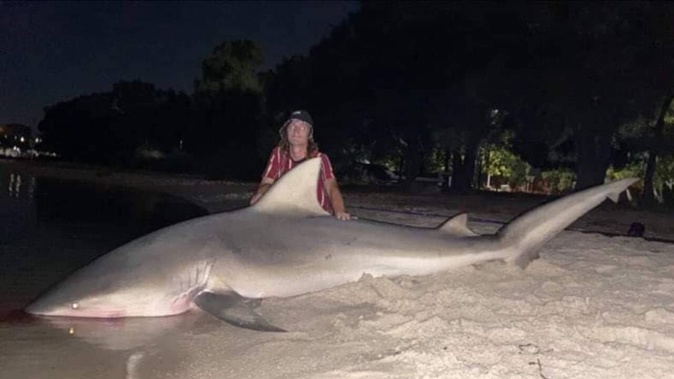 Kai Boyle poses with the shark he caught in the Swan River. Photo / Facebook