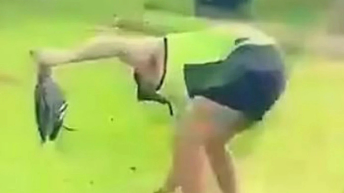 Footage of the incident. Photo / news.com.au