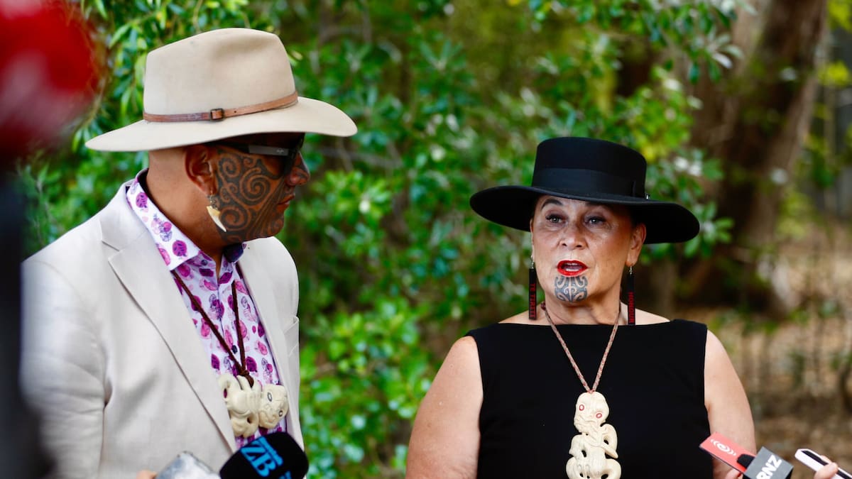 Labour says it will 'never' support Te Pāti Māori prison abolition policy