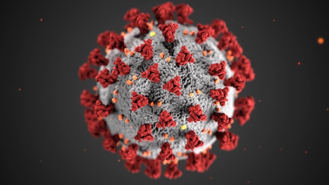 One Covid-19 expert says it's possible New Zealand may be at or near a peak the latest bump in cases. Image / CDC