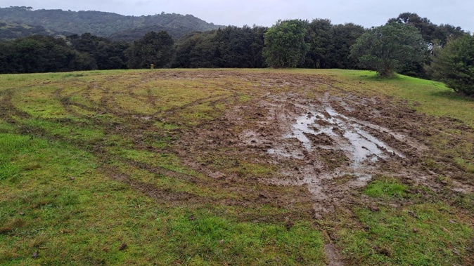 Damage at the Whakanewa Regional Park.