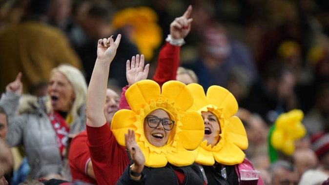 Wales fans show their support during a test. Photo / Getty
