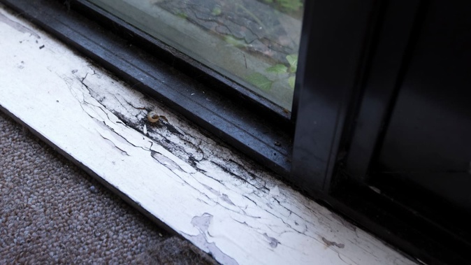 The woman's child was hospitalised with bronchial conditions after living in a Kāinga Ora home that was eventually deemed unfit for tenancy. Photo / File