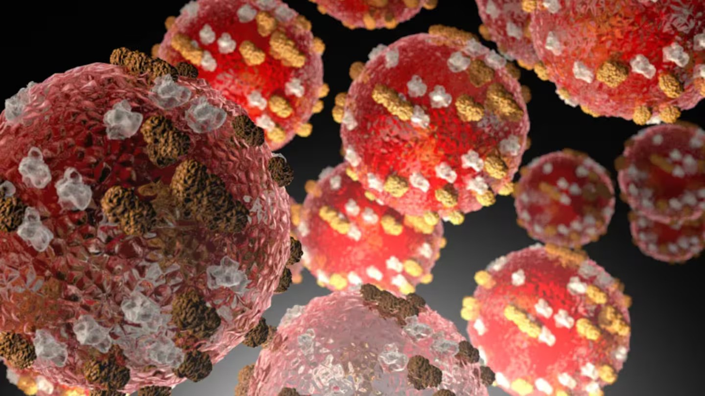 The measles virus, the US CDC says measles is very contagious and can be serious, and anyone who is not protected against the virus is at risk. Photo / US CDC