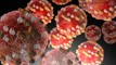 Concerns raised as more measles cases reported in NZ