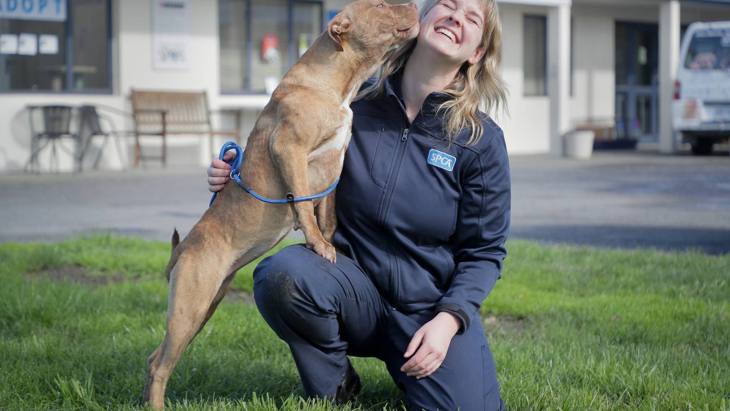  Photo / Warren Buckland