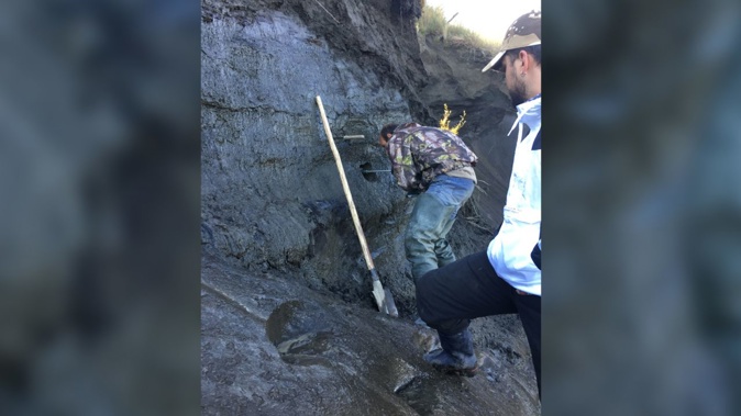 Cores of earth drilled from Siberian permafrost have been analyzed to detect frozen viruses.