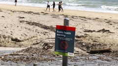 Public health warning sign at Takapuna Beach, Auckland. Picture / Brett Phibbs