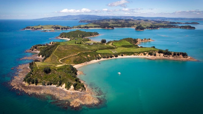 The new protections for the Hauraki Gulf will be included in the bill, which now includes a bottom trawling ban for the vast majority of the Hauraki Gulf. Photo / Natalie Slade