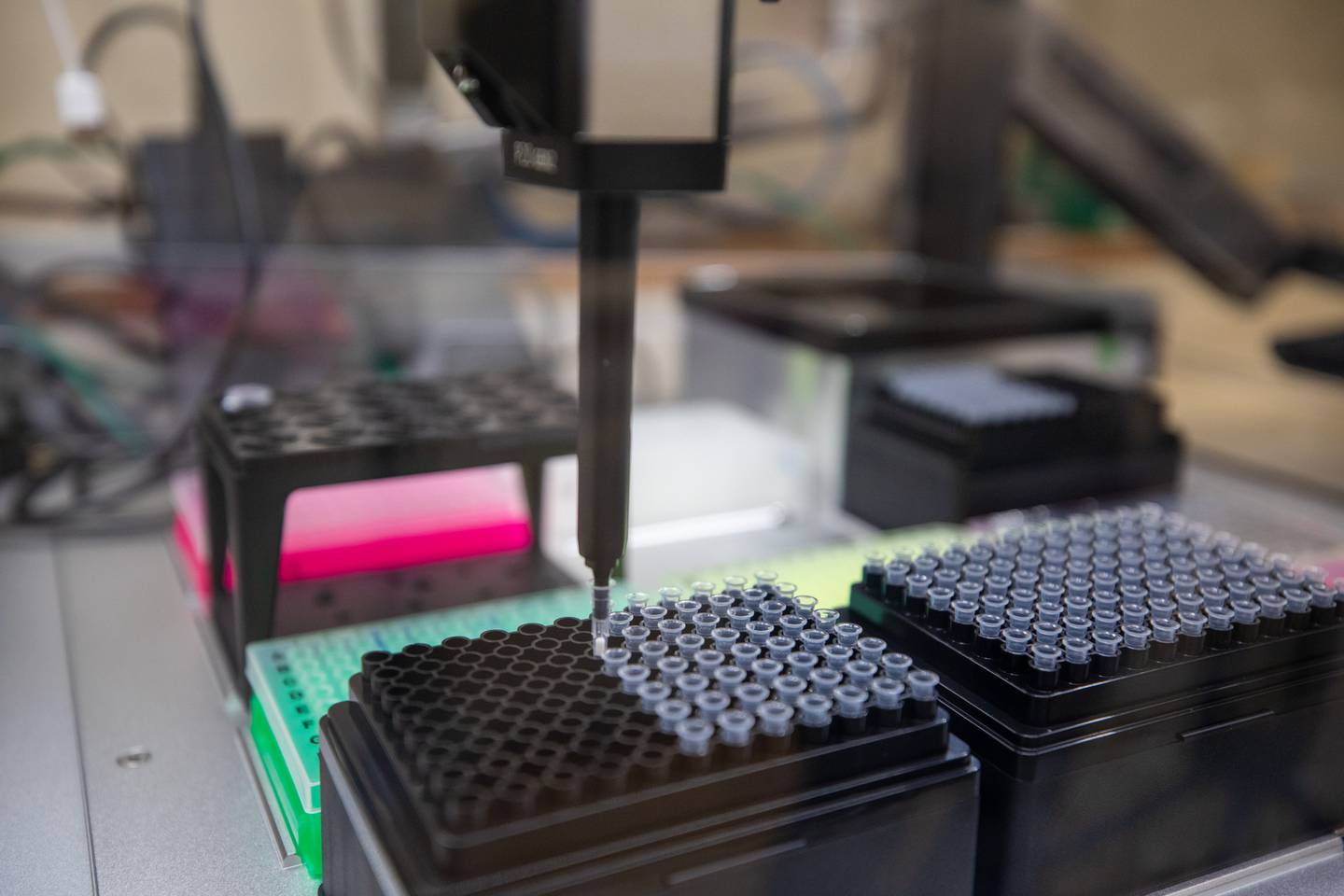 Photo / Dom Thomas/RNZ 