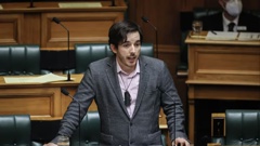 Green MP Ricardo Menéndez March swore while Labour MP Phil Twyford was speaking during a debate on immigration. Photo / RNZ