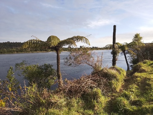 Springtime On The Karamea River. Photo / Mike Yardley