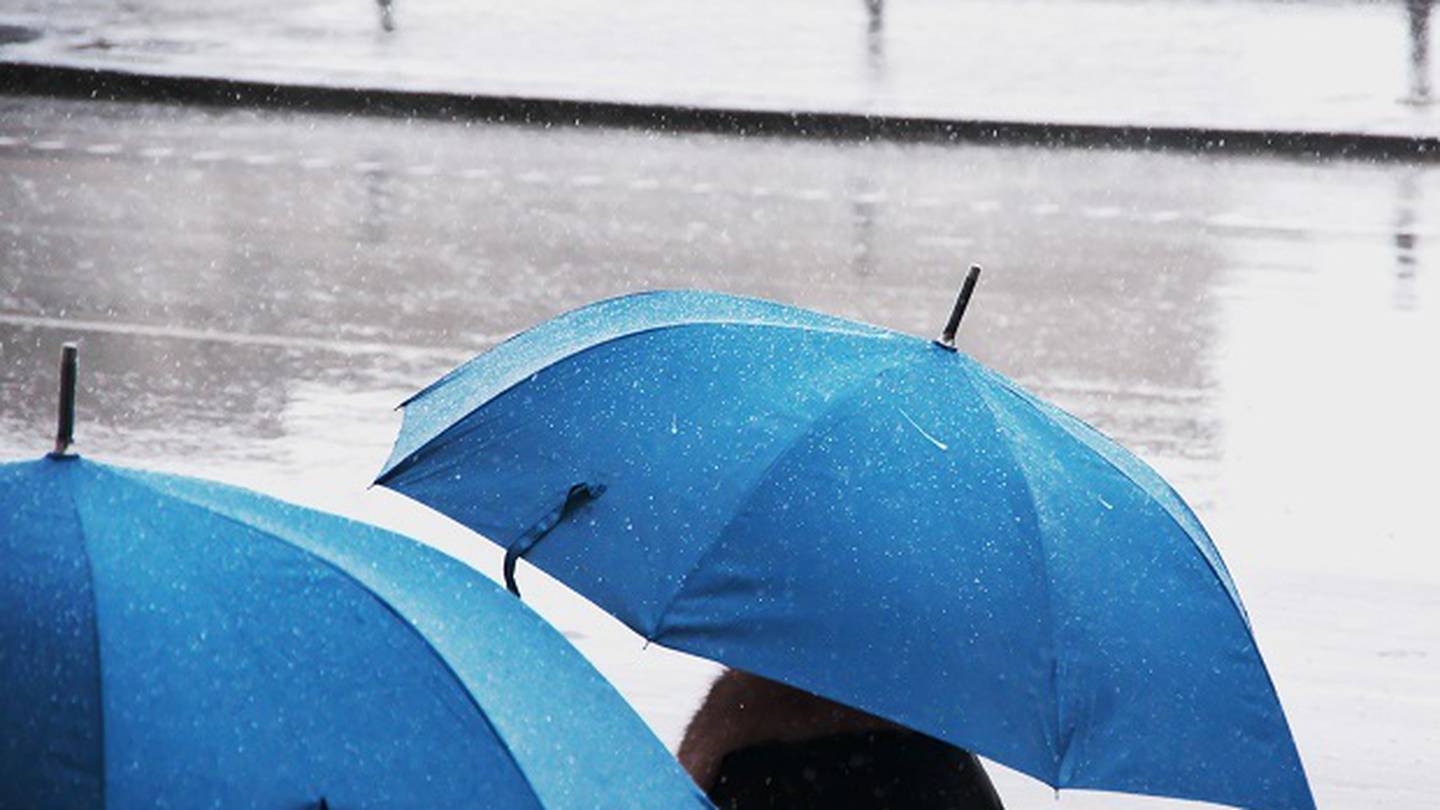 Showers are forecast before strong westerlies turns to cold southerlies later in the week. (Photo / Getty Images)