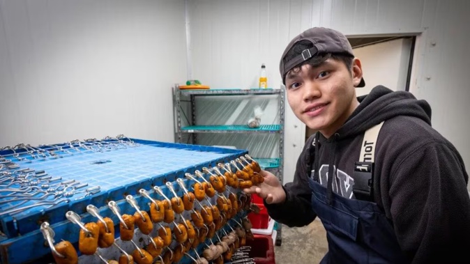 Jerome Chua, a Massey University student, with the sea sausage product he's helped develop.