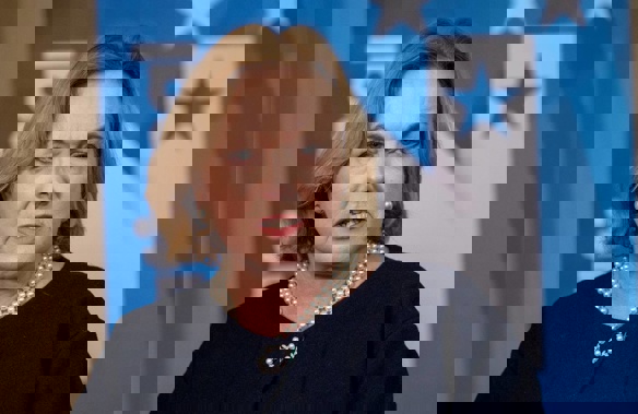 National leader Judith Collins during her standup at Parliament, Wellington. (Photo / Mark Mitchell)