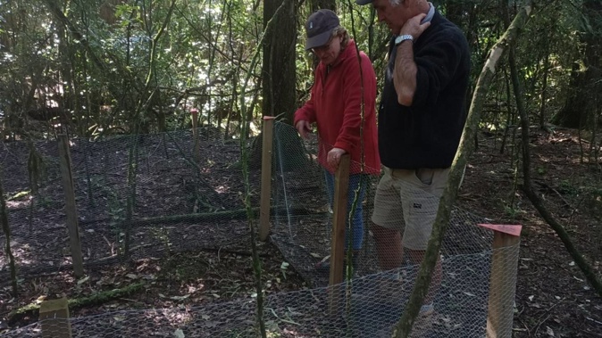 Landowners Phyll and Stu Gibson look on the growth within the rabbit exclosure.