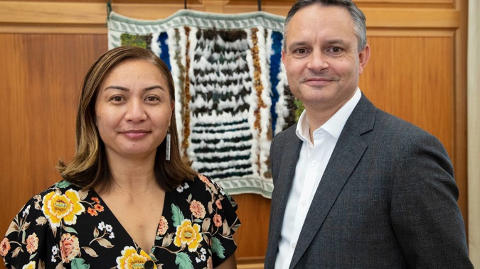 Greens co-leaders Marama Davidson and James Shaw in their caucus room at Parliament. (Photo / Mark Mitchell)