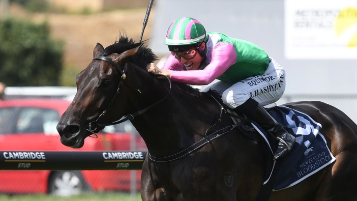 Positivity will take her place in Tuesday's A$8 million Gr.1 Melbourne Cup (3200m) at Flemington. Photo / Kenton Wright