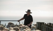 Federated Farmers national meat and wool chair Toby Williams spoke to Jamie Mackay on The Country today.