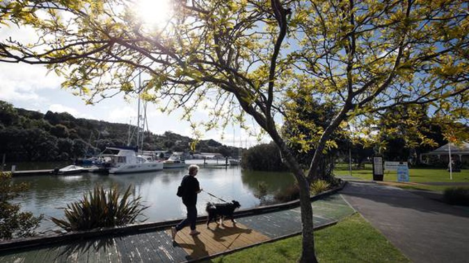 Photo / NZ Herald