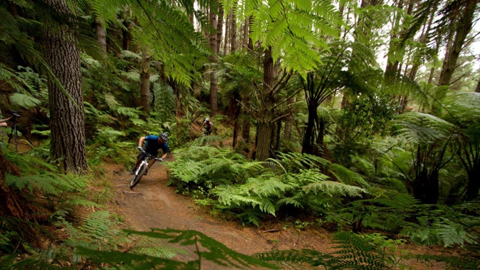 Auckland Airport has signed a memorandum of understanding with RotoruaNZ and Tātaki Auckland Unlimited to encourage Australian tourists to visit the cities. Photo / Destination Rotorua For Travel - June 2 NZH 02Jun20 - RGP 26Dec20 - BTG 26Dec20 -