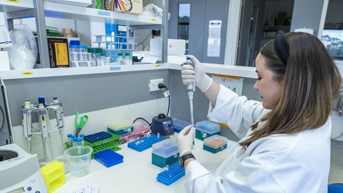 Covid-19 cases continue to increase in the lead up to Christmas. Photo / Supplied