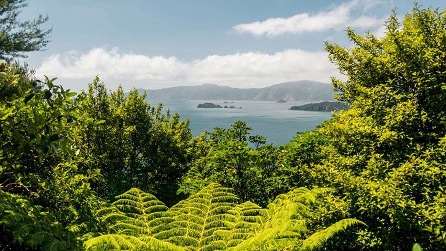 The first European settlers did not arrive in New Zealand until the 1840s. Photo / Supplied