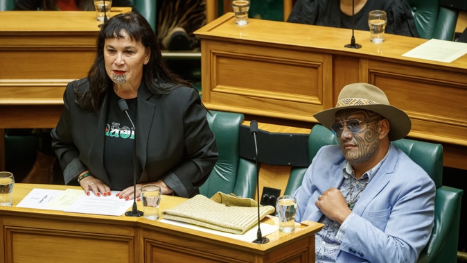 Te Pati Maori co-leaders Debbie Ngarewa-Packer and Rawiri Waititi. Photo / Mark Mitchell