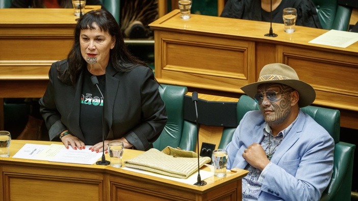 Te Pati Maori co-leaders Debbie Ngarewa-Packer and Rawiri Waititi. Photo / Mark Mitchell
