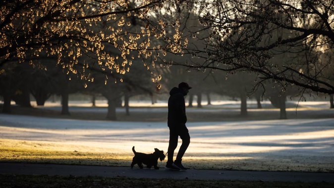 A cold start for Christchurch with frost in Hagley Park last month. Photo / George Heard