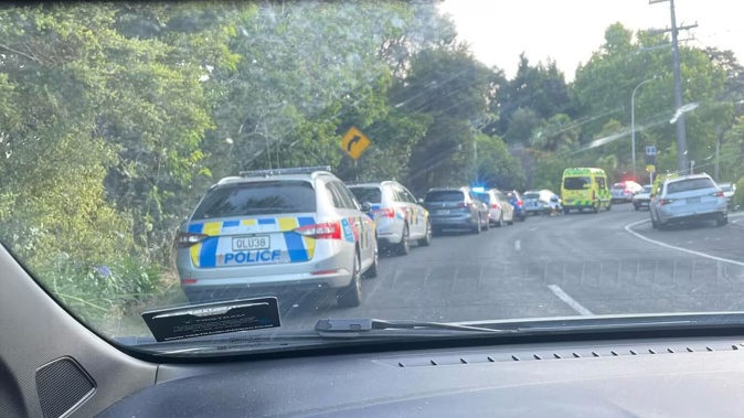 Police were called to a stabbing in Titirangi, Auckland this evening, sparking a manhunt. Photo / Supplied