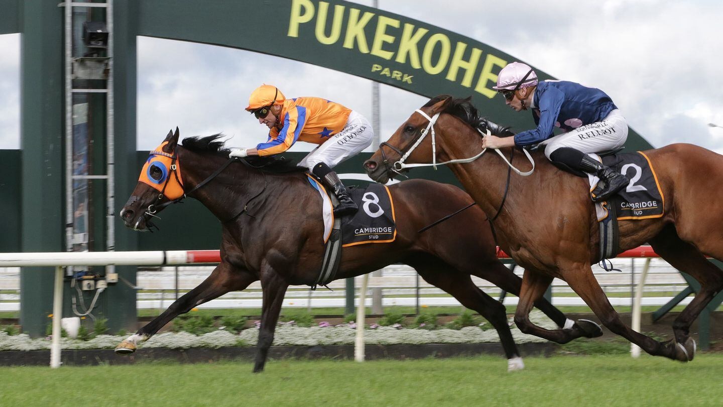 Campionessa. Photo / Supplied