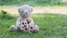 Wellington inquest looking at whether changes are needed after baby Manuia’s death