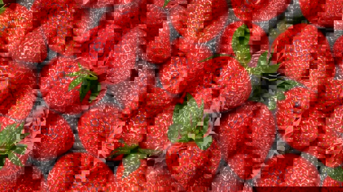 Strawberries may be more expensive in store later this year - especially come Christmas time. Photo / 123RF