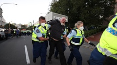 Police moved in on protesters as the demonstration enters day 15. (Photo / George Heard)