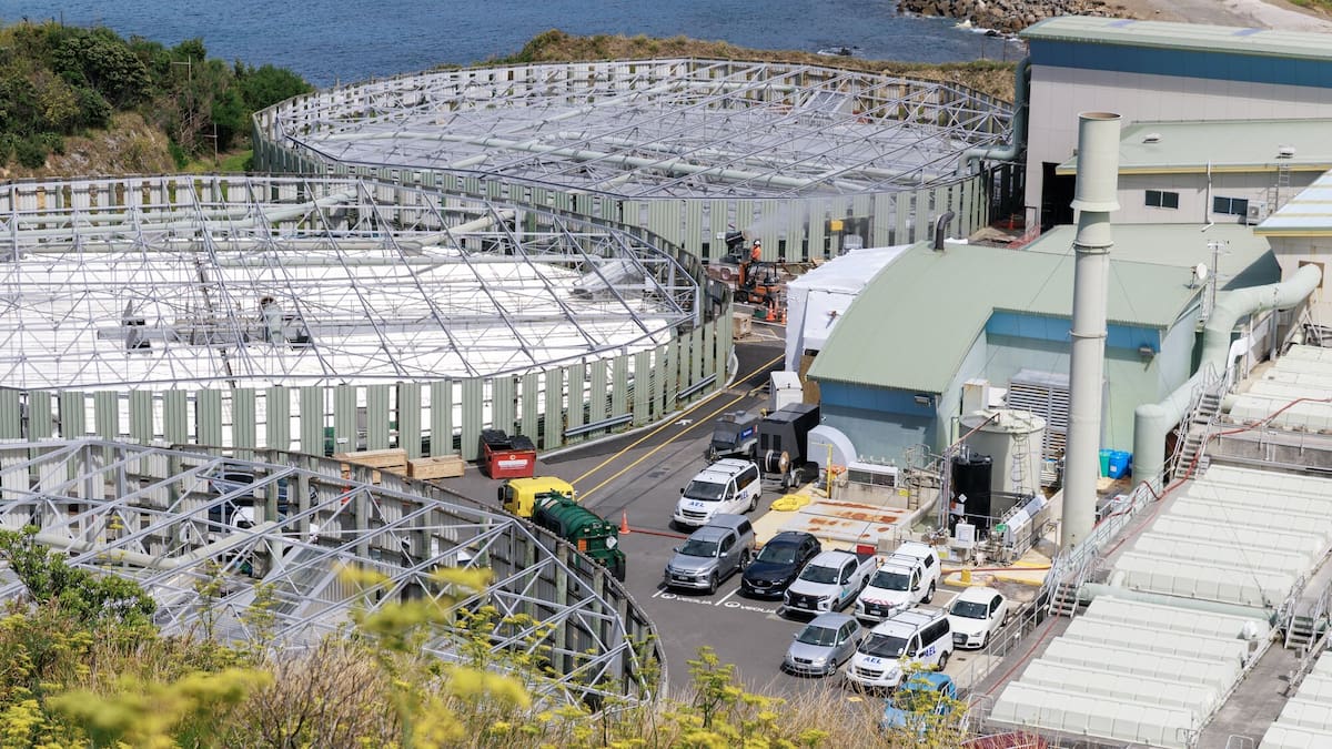 Investigators appointed over Wellington sewage disaster, answers months away