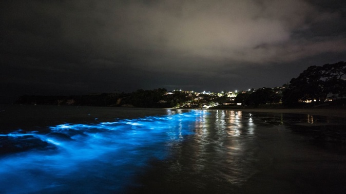 Tindall's Bay, Whangaparaoa, Auckland. Photo / Matthew Davison