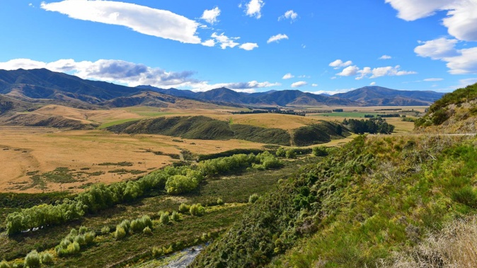 A search is under way for two missing people and their three dogs in Canterbury. Photo / 123RF