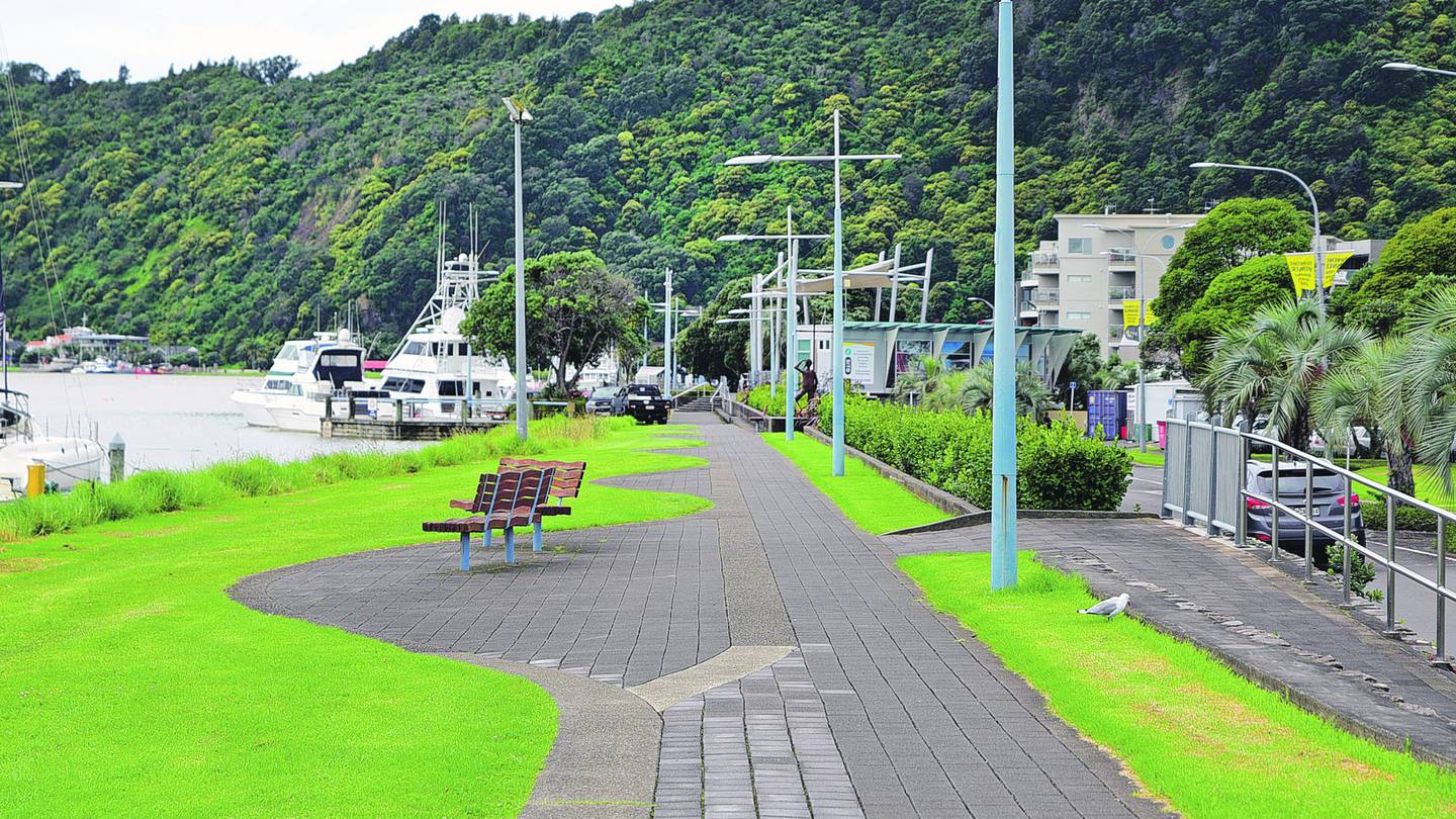 Bay of Plenty Regional Council plans to place a concrete flood wall between the Warren Cole Walkway and the hedge on Kakahoroa Drive some time this year. Photo / Troy Baker