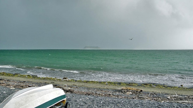 A member of the public discovered the man in the water this morning. Photo / NZ Herald