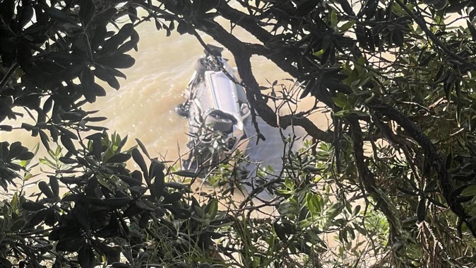 A car is partially submerged after it plunged off a cliff at Auckland's Musick Pt, near Bucklands Beach on Sunday evening. Photo / Supplied