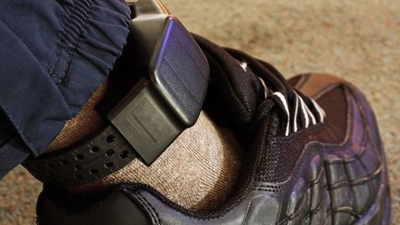 New figures show electronic bail violations 13 times higher than previous decade