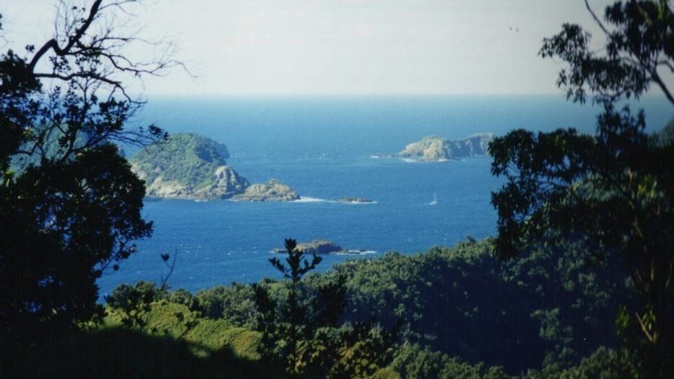 A view from Rangitahua (Raoul) Island, Kermadec Islands, New Zealand. Photo / Lawrie Mead / Public Domain