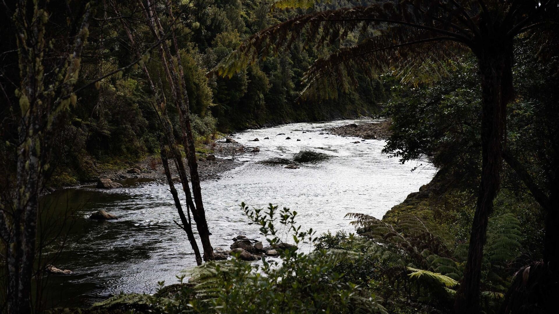 Man missing after being swept away down Waioeka River