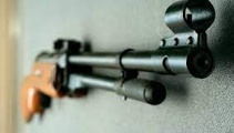 Teen with airgun greeted census workers like ‘gangster’