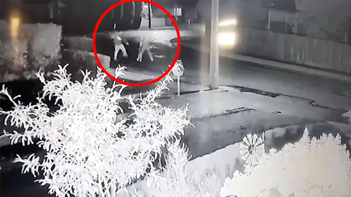 This is the moment a Masterton father armed with a baseball bat confronted and hit an alleged burglar who had been snooping around his property.