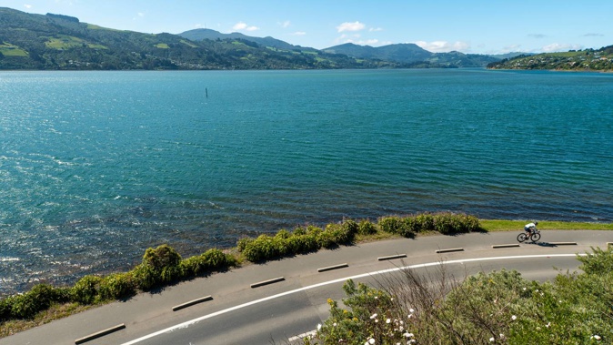 Four people, one a four-year-old boy, were taken to hospital after a boat crash on Otago Harbour yesterday. Photo / DunedinNZ