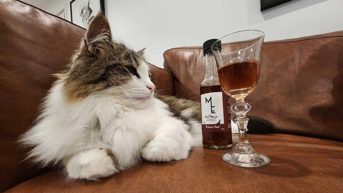 Kiwi start-up, Muttley’s Estate, has created a shelf-stable pet wine that can be stored for up to 12 months.